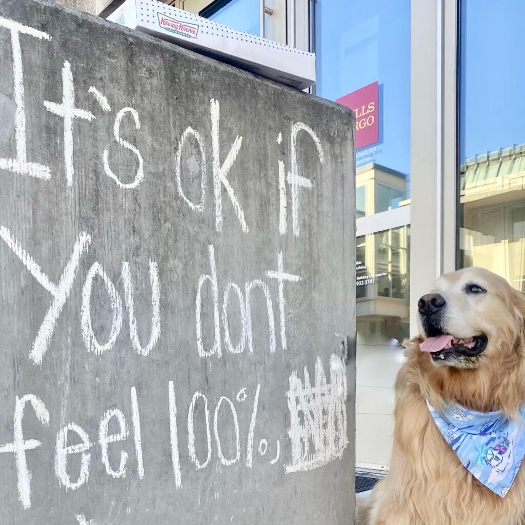 Roxy the Golden Retriever sitting next to a wall with the chalked words "It's OK if you don't feel 100%"