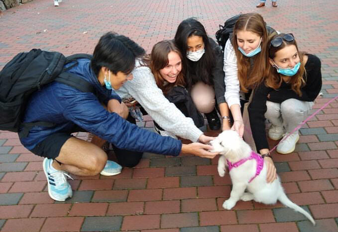 Group of five delighted students clustered around and somehow all fitting a petting hand on Lucy, the 10 week old white puppy with big paws