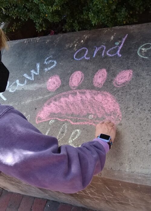 Volunteer writing "Paws and enjoy life" on concrete in chalk