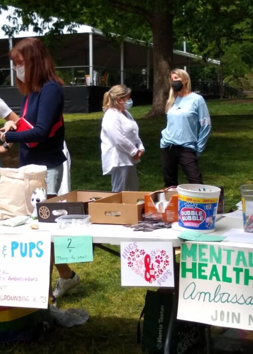 Meditation Stations for students; tables with signs that say Hugs and Pups and Mental Health Ambassadors, staffed by five volunteers