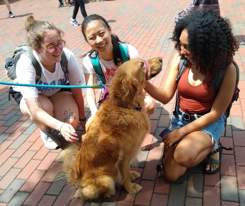 Three students grinning at Daisy the Golden Retriever