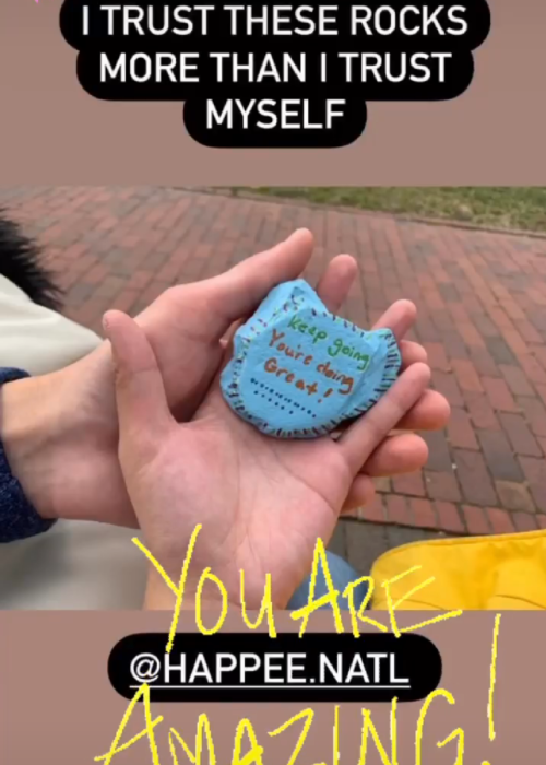 Two hands holding a painted rock that says "Keep going, you're doing great!" on an Instagram Story that's titled "I trust these rocks more than I trust myself" and tagged @HAPPEE.natl. This story has been reposted as a story by HAPPEE.natl with the added words "YOU ARE AMAZING!"
