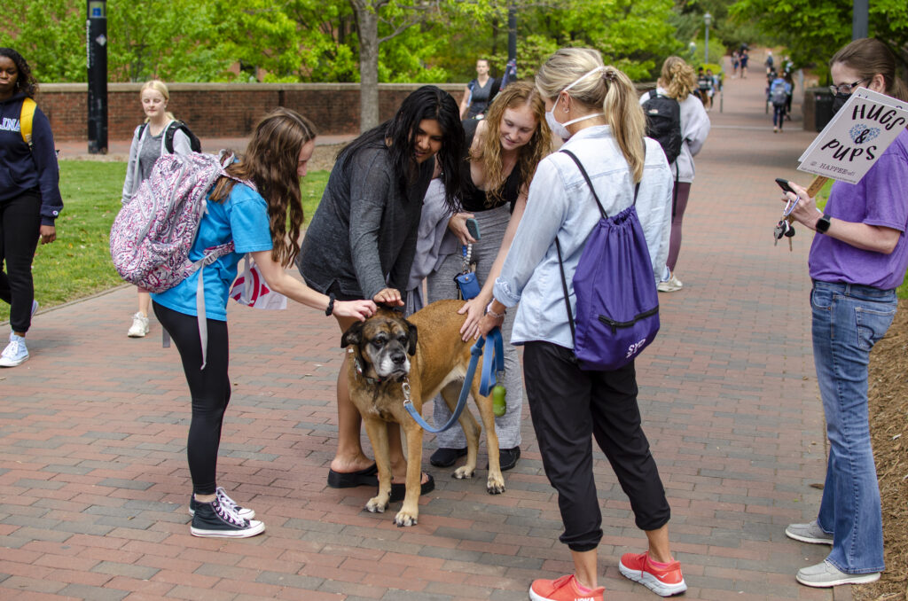 Three students lean in to pet Macie, who is standing. His Mom/HAPPEE volunteer is holding his leash while the other volunteer is nearby, posting their location on her phone using Glympse
