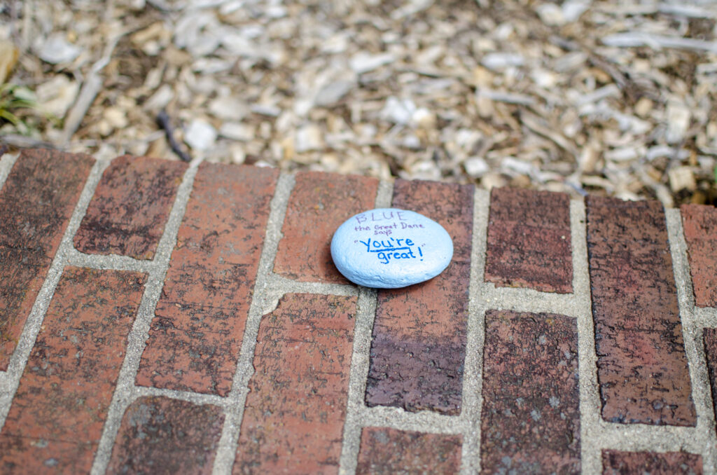 Carolina blue painted rock on a brick wall, that says, "Blue the Great Dane says "YOU'RE great!"