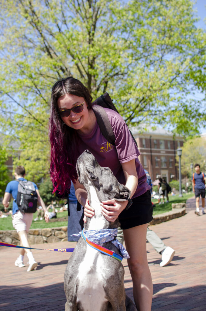 A student standing behind Blue the Great Dane and petting his neck, while smiling happily down at him. Blue is sitting directly in front of her with his body facing the camera but his head pointed straight up so that he is looking at her face.