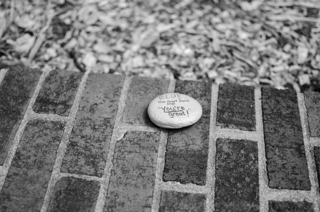 The painted rock reads, "Blue the Great Dane says 'YOU'RE great!'"