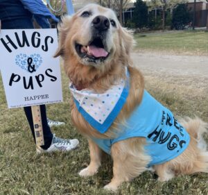 Roxy the Golden Retriever sitting on grass and smiling next to a Hugs & Pups handheld sign is propped against the legs of an otherwise unseen volunteer