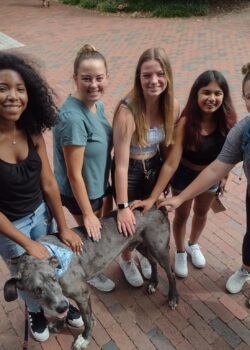 A group of six students standing around Blue the Great Dane, each with a hand on his back and smiling