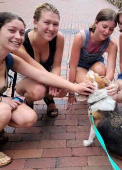 Bobo the Beagle looking at four students who are all petting him