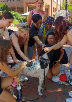A large group of students surrounding and petting Norbert the Poodle