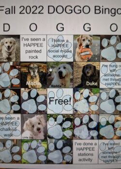 A 5x5 DOGGO Bingo card that has 17 blocks covered with Carolina blue pawprints, including "I've texted with someone I met at a HAPPEE event" and "I've hung out with someone I met at a HAPPEE event."