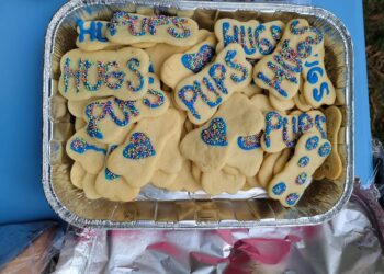 An aluminum tin filled with bone-shaped cookies that say "Hugs", "Pups", or have a heart on them in icing.